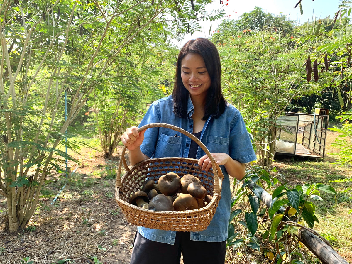 Mushroom soy sauce
