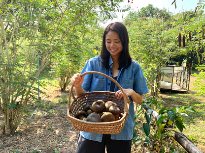 Mushroom soy sauce